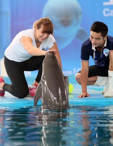 00万美元 00万美元