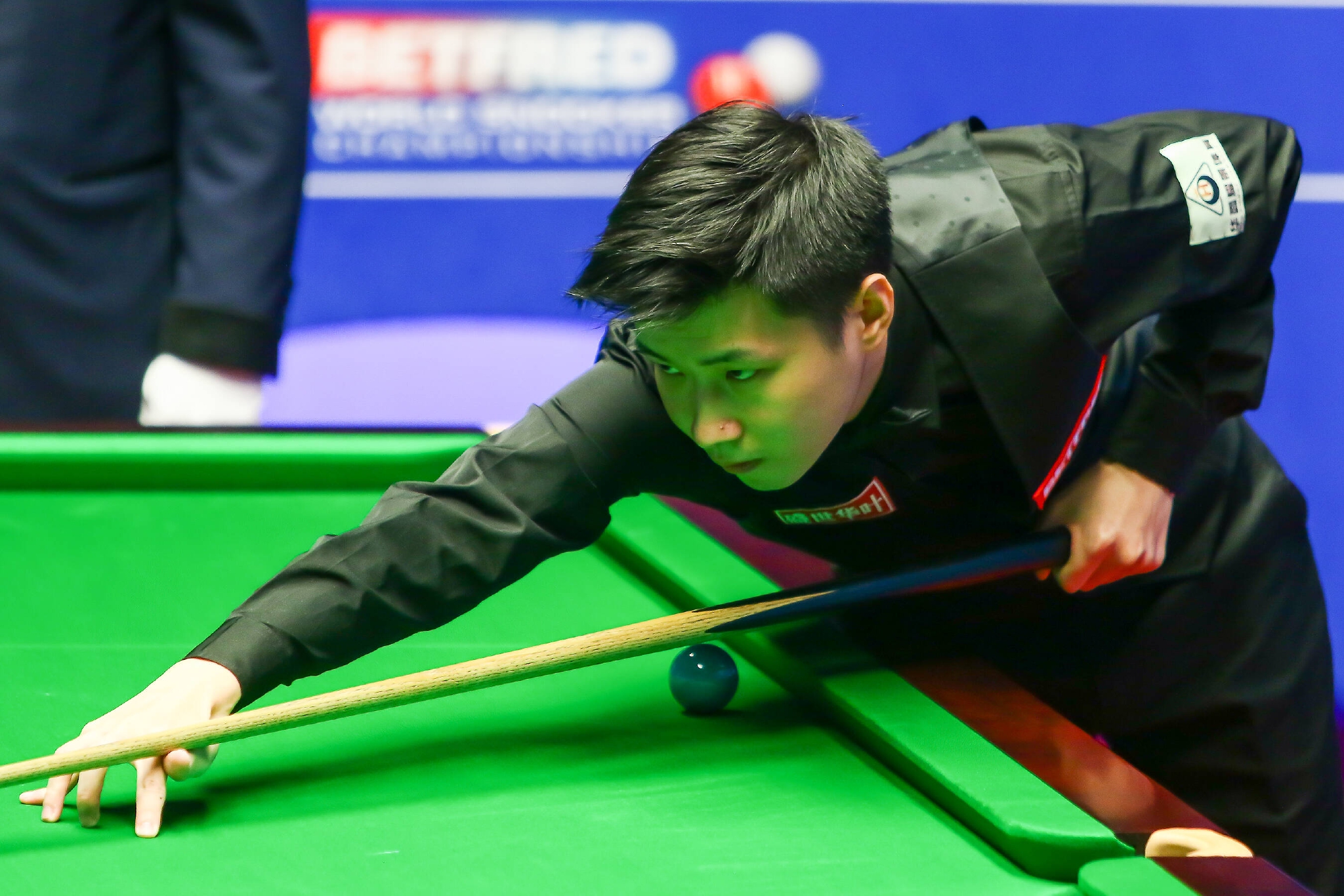 沃尔退役 沃尔退役